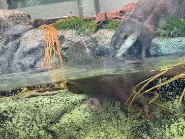 サンシャイン水族館に投稿された画像（2026/5/8）
