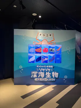サンシャイン水族館に投稿された画像（2026/5/8）