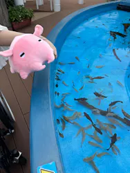 サンシャイン水族館に投稿された画像（2026/5/8）