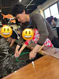 土肥金山に投稿された画像（2026/5/8）