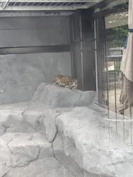 東武動物公園に投稿された画像（2026/5/8）