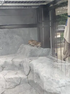 東武動物公園に投稿された画像（2026/5/8）