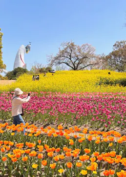 万博記念公園に投稿された画像（2026/5/8）
