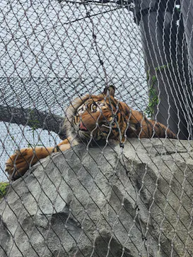 名古屋市東山動植物園に投稿された画像（2026/5/8）