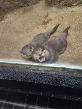 名古屋市東山動植物園に投稿された画像（2026/5/8）