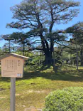 兼六園に投稿された画像（2026/5/8）