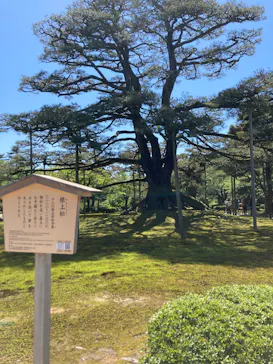 兼六園に投稿された画像（2026/5/8）