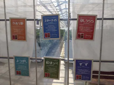 すごう農園直売所ピアッツァに投稿された画像（2026/5/8）