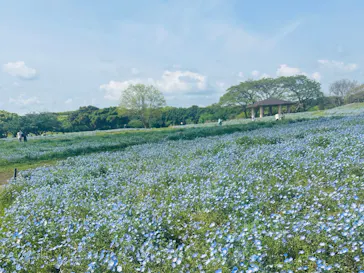 マリンワールド海の中道に投稿された画像（2026/5/8）