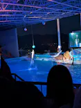 アドベンチャーワールドに投稿された画像（2026/5/9）