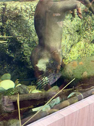 サンシャイン水族館に投稿された画像（2026/5/9）