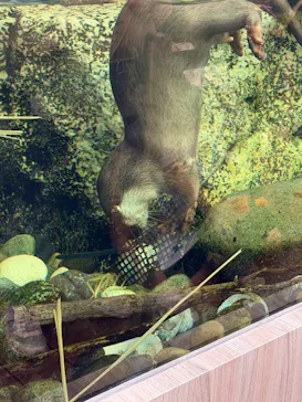 サンシャイン水族館に投稿された画像（2026/5/9）