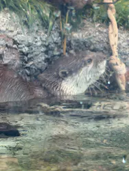 サンシャイン水族館に投稿された画像（2026/5/9）