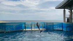 新江ノ島水族館に投稿された画像（2026/5/9）