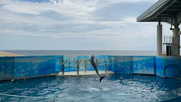 新江ノ島水族館に投稿された画像（2026/5/9）