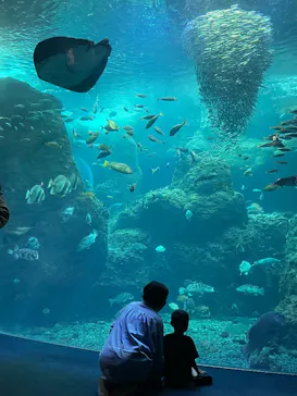 新江ノ島水族館に投稿された画像（2026/5/9）