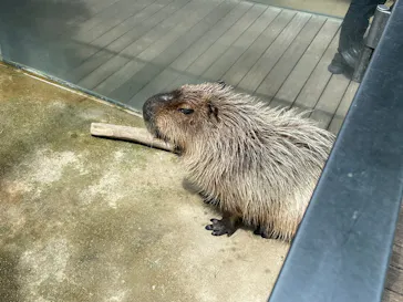 栃木県なかがわ水遊園に投稿された画像（2026/5/9）