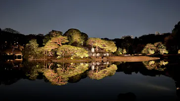 六義園に投稿された画像（2026/5/9）