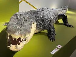 特別展「超危険生物展　科学で挑む生き物の本気」に投稿された画像（2026/5/9）