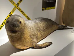 特別展「超危険生物展　科学で挑む生き物の本気」に投稿された画像（2026/5/9）