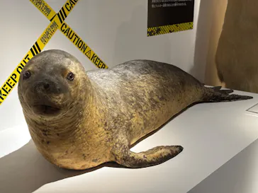 特別展「超危険生物展　科学で挑む生き物の本気」に投稿された画像（2026/5/9）