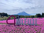 富士芝桜まつり(富士本栖湖リゾート)に投稿された画像（2026/5/9）