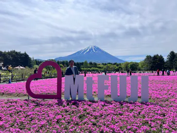 富士芝桜まつり(富士本栖湖リゾート)に投稿された画像（2026/5/9）