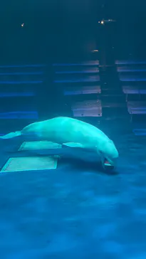 島根県立 しまね海洋館に投稿された画像（2026/5/9）