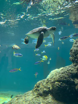 葛西臨海水族園に投稿された画像（2026/5/9）