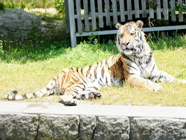天王寺動物園に投稿された画像（2026/5/9）