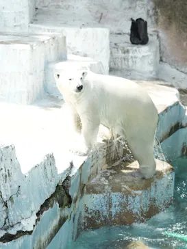 天王寺動物園に投稿された画像（2026/5/9）