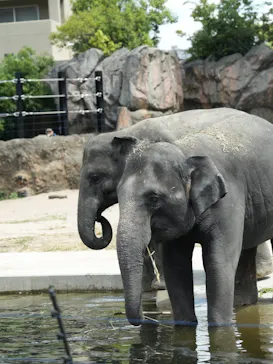 天王寺動物園に投稿された画像（2026/5/9）
