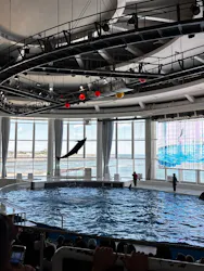 アクアワールド茨城県大洗水族館に投稿された画像（2026/5/9）