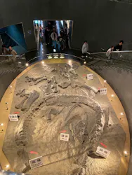福井県立恐竜博物館に投稿された画像（2026/5/9）