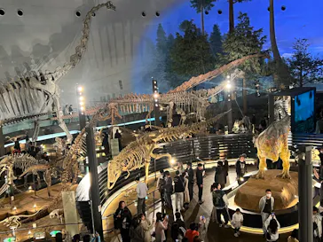 福井県立恐竜博物館に投稿された画像（2026/5/9）