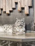 いしかわ動物園に投稿された画像（2026/5/9）