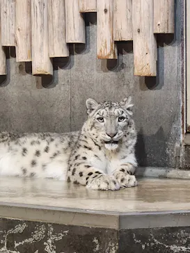 いしかわ動物園に投稿された画像（2026/5/9）