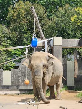 いしかわ動物園に投稿された画像（2026/5/9）