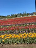 牧歌の里に投稿された画像（2026/5/9）