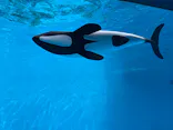 仙台うみの杜水族館に投稿された画像（2026/5/9）