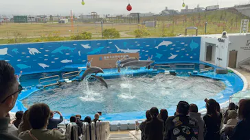 仙台うみの杜水族館に投稿された画像（2026/5/9）