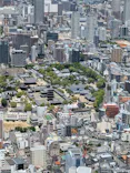 ハルカス300(展望台)に投稿された画像（2026/5/9）