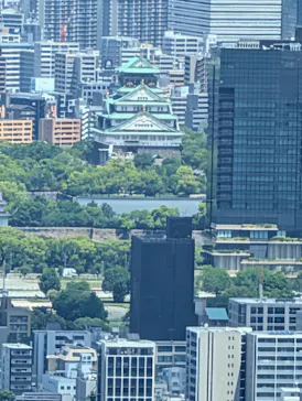 ハルカス300(展望台)に投稿された画像（2026/5/9）
