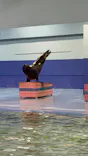 ゼロ距離水族館 伊勢シーパラダイスに投稿された画像（2026/5/9）