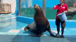ゼロ距離水族館 伊勢シーパラダイスに投稿された画像（2026/5/9）
