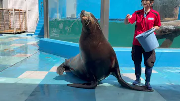 ゼロ距離水族館 伊勢シーパラダイスに投稿された画像（2026/5/9）