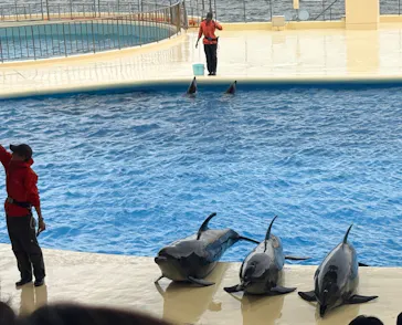 マリンワールド海の中道に投稿された画像（2026/5/9）