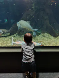 世界淡水魚園水族館　アクア・トトぎふに投稿された画像（2026/5/9）