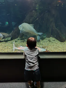 世界淡水魚園水族館　アクア・トトぎふに投稿された画像（2026/5/9）