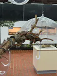 おきなわワールドに投稿された画像（2026/5/9）